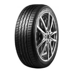 Autogreen 205/45R16 87W SUPERSPORTCHASER-SSC5 XL